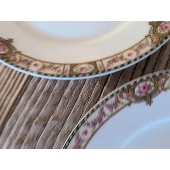 Vintage Theodore Haviland Limoges France Belfort Salad Dessert Bread Plate 3 Pcs - Picture 7 of 14